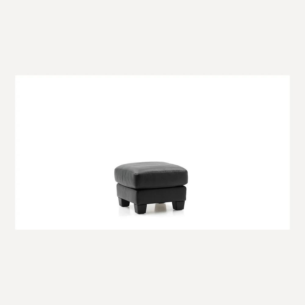 DS-17/105 Hocker