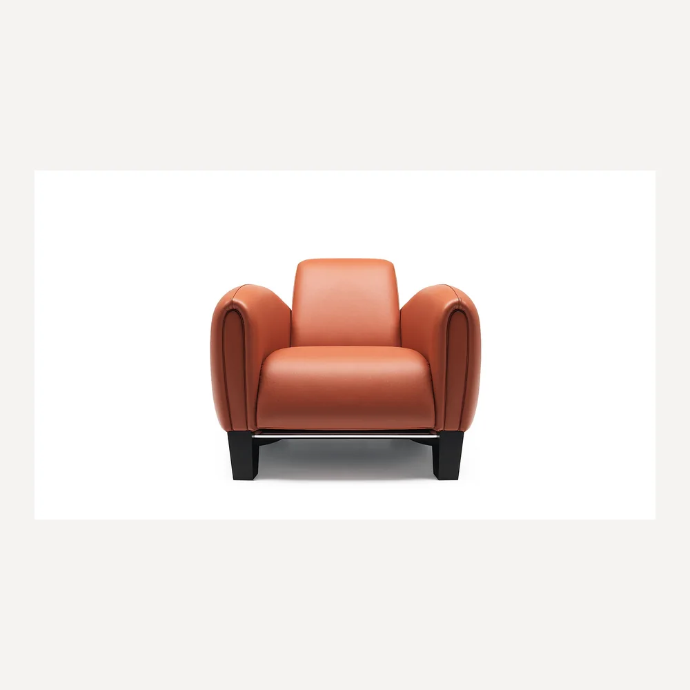 DS-57/01 Sessel